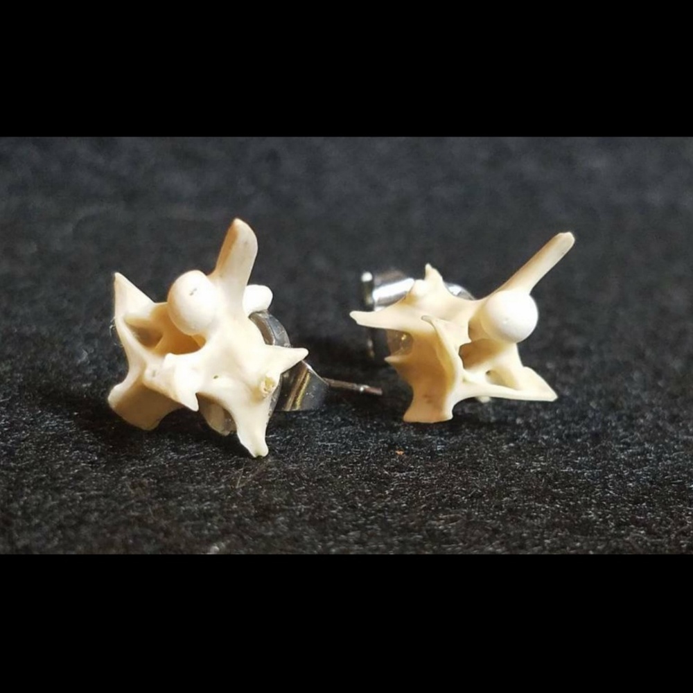 Snake vertabrae stud earrings